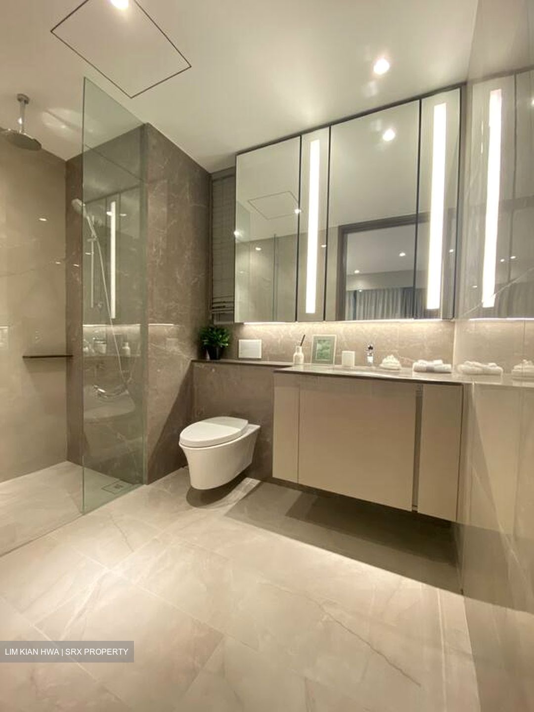 Thomson View Condominium (D20), Condominium #495821171